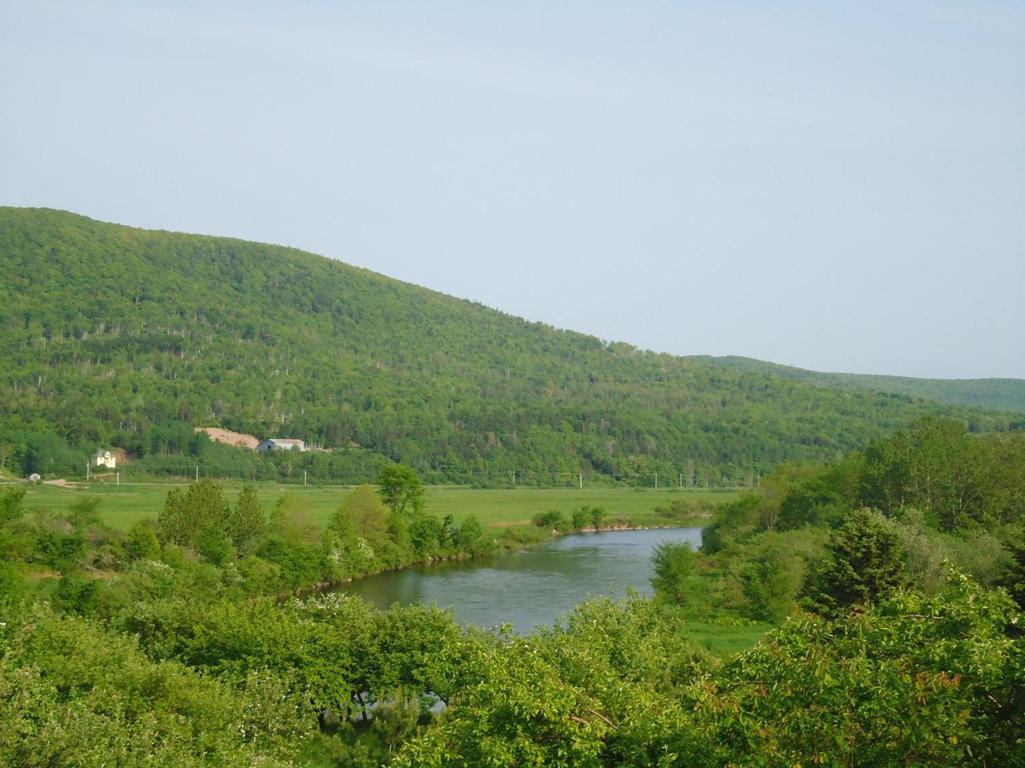 Cajun Cedar Log Cottages Margaree Forks Exterior foto